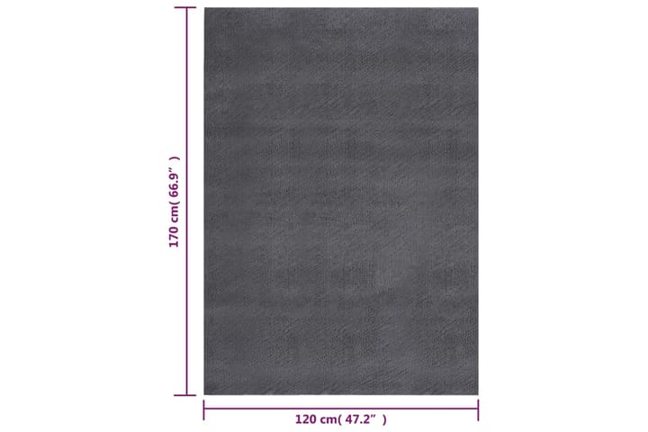beBasic Matto pestävä pehmeä pörröinen 120x170 cm liukumaton antrasiit. - Antrasiitti - Wilton-matto - Kuviollinen matto & värikäs matto