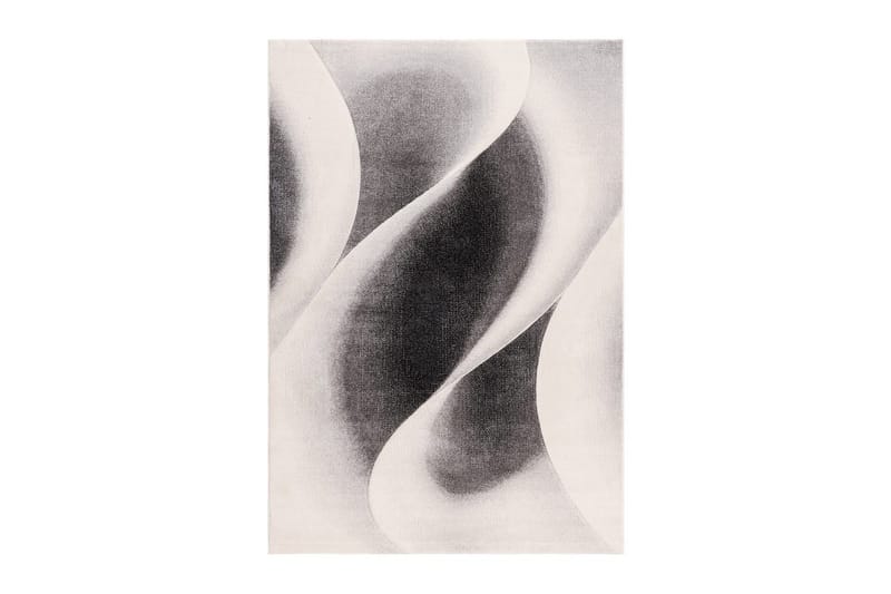 Koneella kudottu matto Brilliance Modern, 200x290 cm, Harmaa