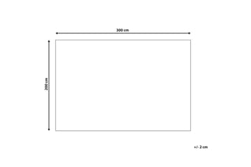 Matto Dagari - 200x300 cm - Kodintekstiilit & matot - Matto - Moderni matto - Villamatto
