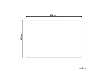 Matto Gesi II - Beige, 200x300 cm - Kodintekstiilit & matot - Matto - Moderni matto - Viskoosimatto & keinosilkkimatto