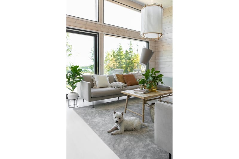 Matto Hattara 160x230 cm Beige - VM Carpet - Kodintekstiilit & matot - Matto - Moderni matto - Nukkamatto