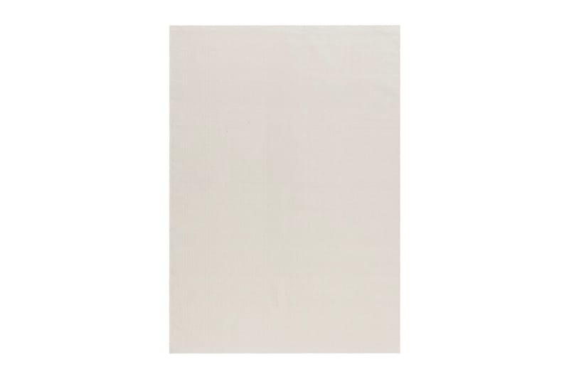 Puuvillamatto Fujiko 200x300 cm - Kermanvärinen - Kodintekstiilit & matot - Matto - Moderni matto - Puuvillamatto