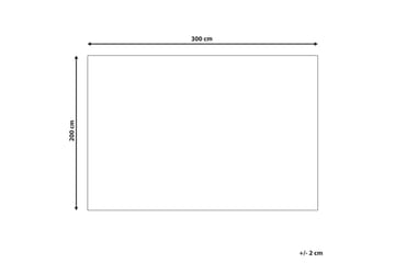 Ryijymatto Ejaz 200x300 cm - Vaaleanpunainen - Kodintekstiilit & matot - Matto - Moderni matto - Nukkamatto