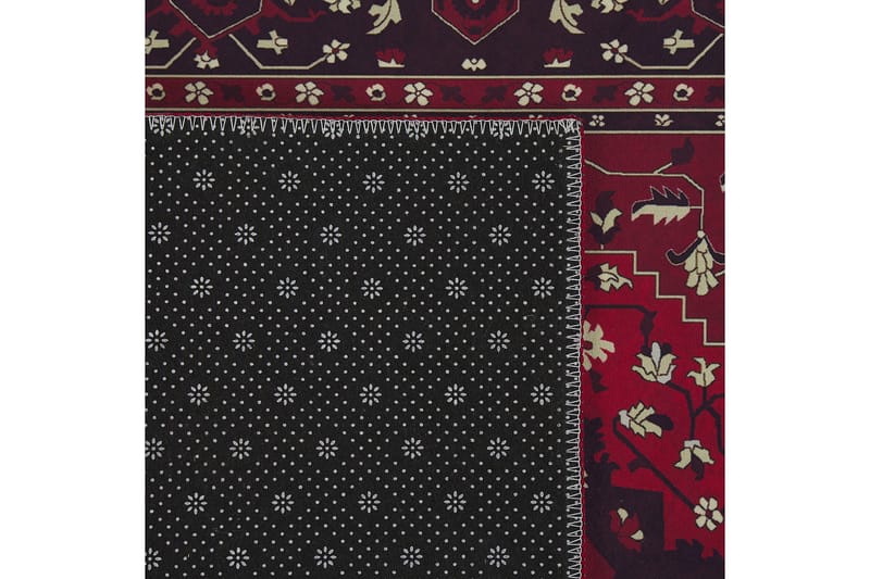 Ryijymatto Vadkadam 80x300 cm - Punainen - Kodintekstiilit & matot - Matto - Moderni matto - Nukkamatto