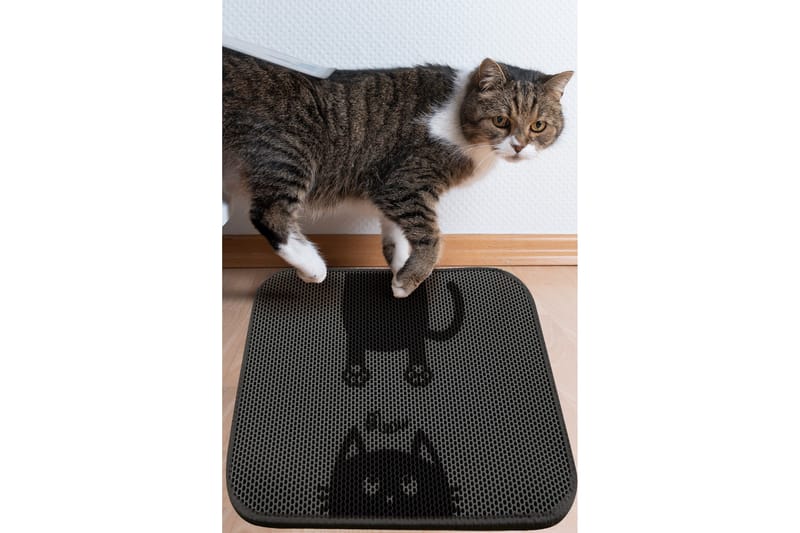 KattsandsMatto Chilai 45x60 cm, Monivärinen