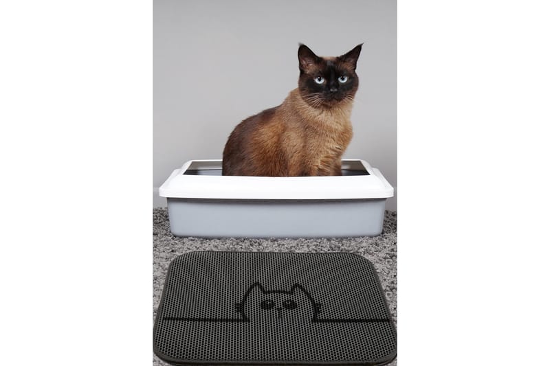 KattsandsMatto Chilai 45x60 cm, Monivärinen