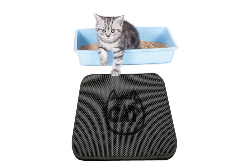 KattsandsMatto Chilai 45x60 cm - Monivärinen - Kodintekstiilit & matot - Matto - Moderni matto - Wilton-matto