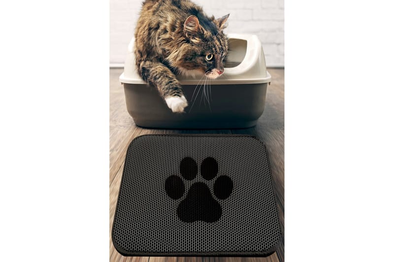 KattsandsMatto Chilai 45x60 cm - Monivärinen - Kodintekstiilit & matot - Matto - Moderni matto - Wilton-matto