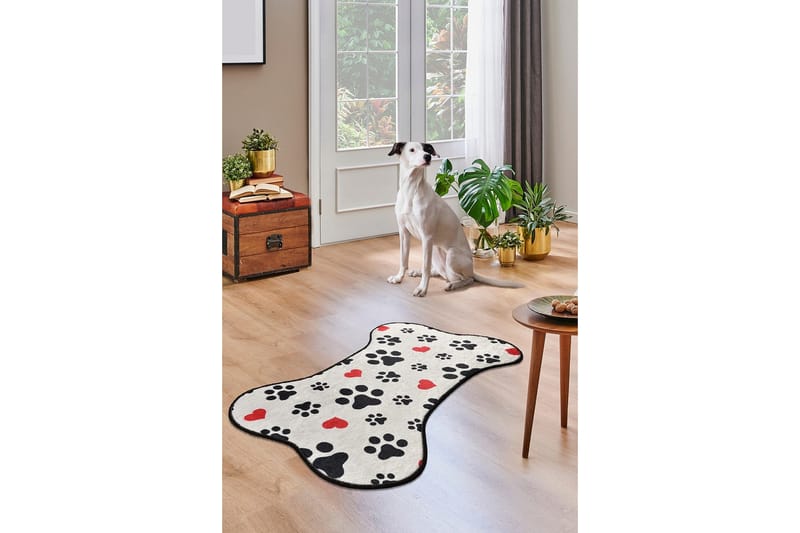 Matto Corderro 60x100 cm - Monivärinen / Sametti - Kodintekstiilit & matot - Matto - Pienet matot