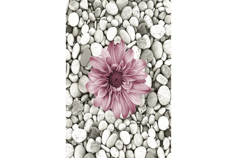 Matto Homefesto 60x100 cm - Monivärinen - Kodintekstiilit & matot - Matto - Pienet matot