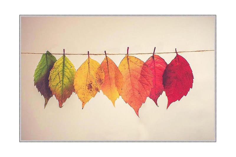 Matto Homefesto 60x100 cm, Monivärinen