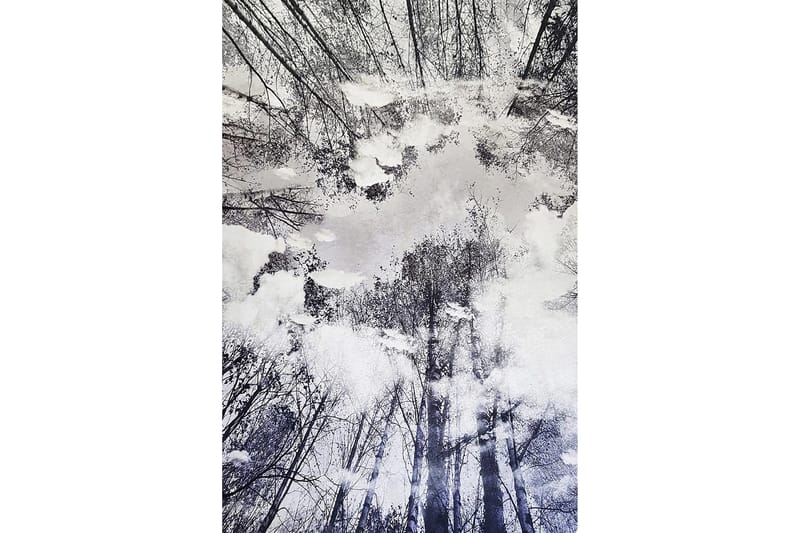 Matto Homefesto 80x200 cm - Monivärinen - Kodintekstiilit & matot - Matto - Moderni matto - Wilton-matto