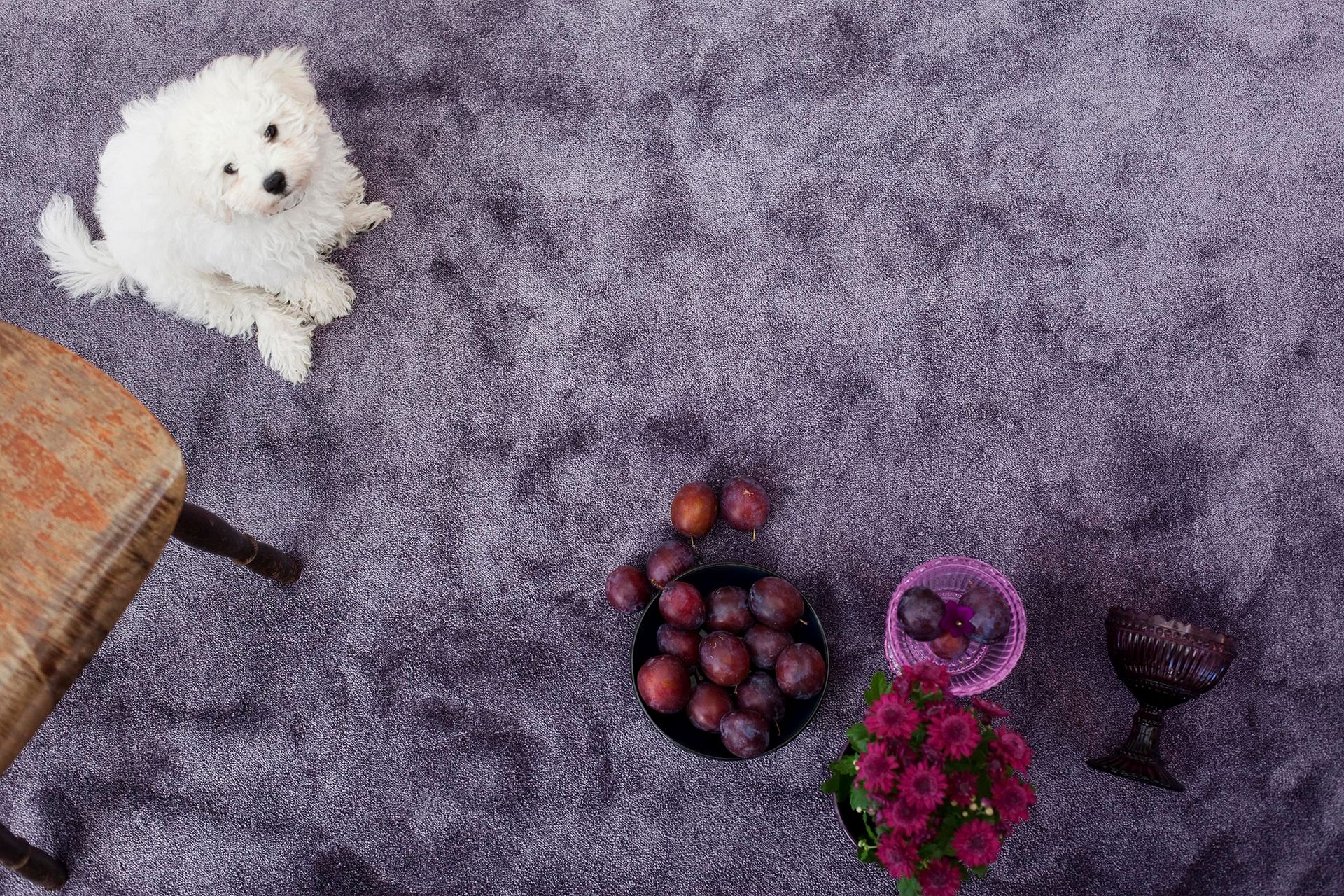 Matto Satine 200x300 cm Lila - VM Carpet - Kodintekstiilit & matot - Matto - Pyöreät matot