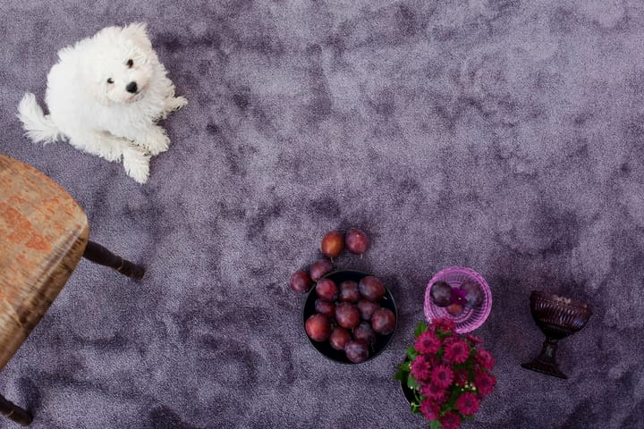 Matto Satine 80x150 cm Lila - VM Carpet - Pyöreät matot - Nukkamatto