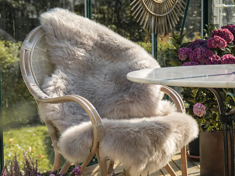 Lampaantalja Hillerstorp Vilma, Harmaa