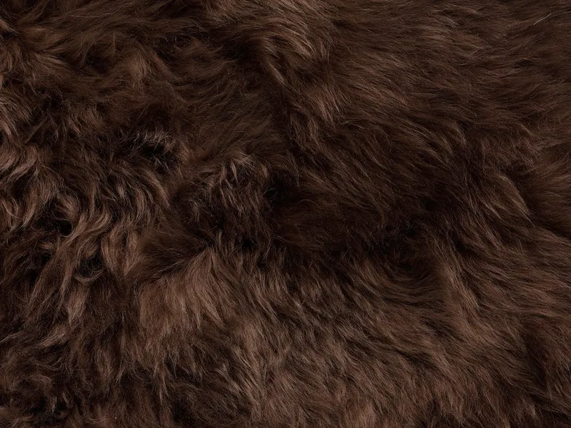 Lampaantalja Hillerstorp Vilma, Ruskea