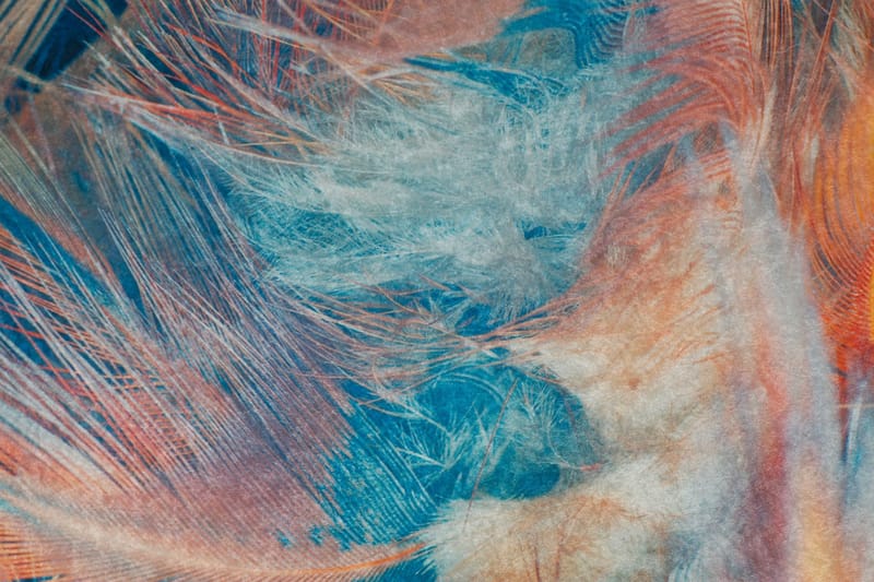 Käytävämatto Furgoneta 80x200 cm - Monivärinen - Kodintekstiilit & matot - Matto - Ulkomatto - Eteisen matto & kynnysmatto