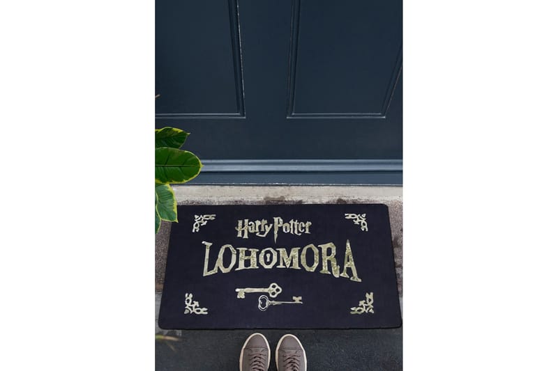 Ovimatto Chilai 45x70 cm - PVC/Monivärinen - Kodintekstiilit & matot - Matto - Ulkomatto - Eteisen matto & kynnysmatto