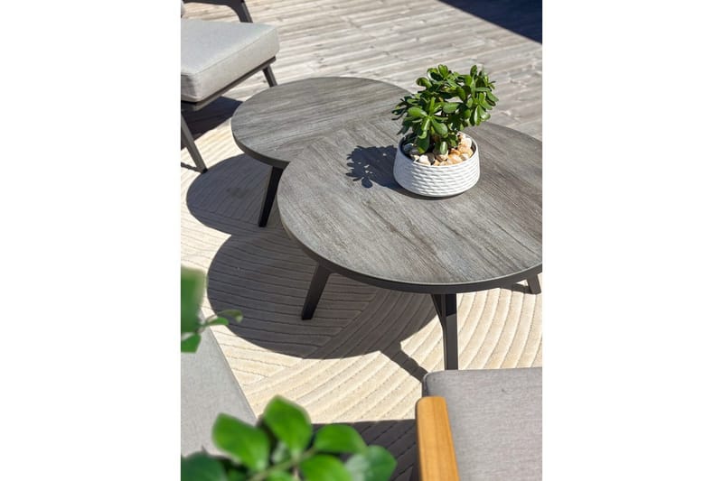 Wiltonmatto Orlando Modern 200x290 cm, Luonto - 200x290 cm, Luonto - Kodintekstiilit & matot - Matto - Ulkomatto
