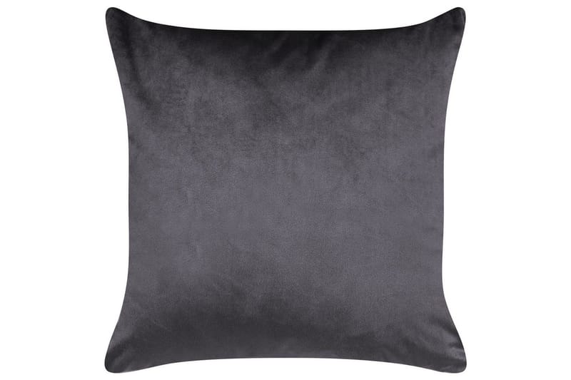 Koristetyynyt Alyssum sarja 2 Harmaa/kulta, Sametti - Harmaa/kulta, Sametti - Kodintekstiilit & matot - Tyyny & torkkupeitto - Ulkotyyny