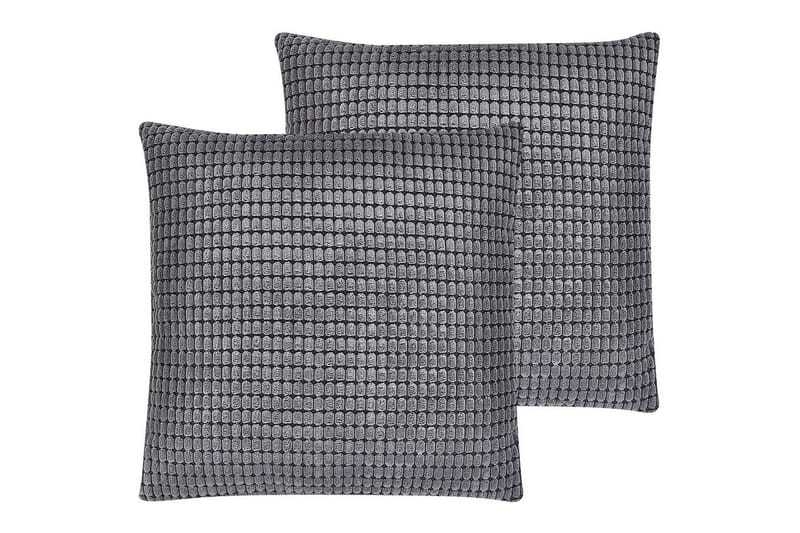 Koristetyynyt Aspidistra 2 kpl:n sarja, undefined