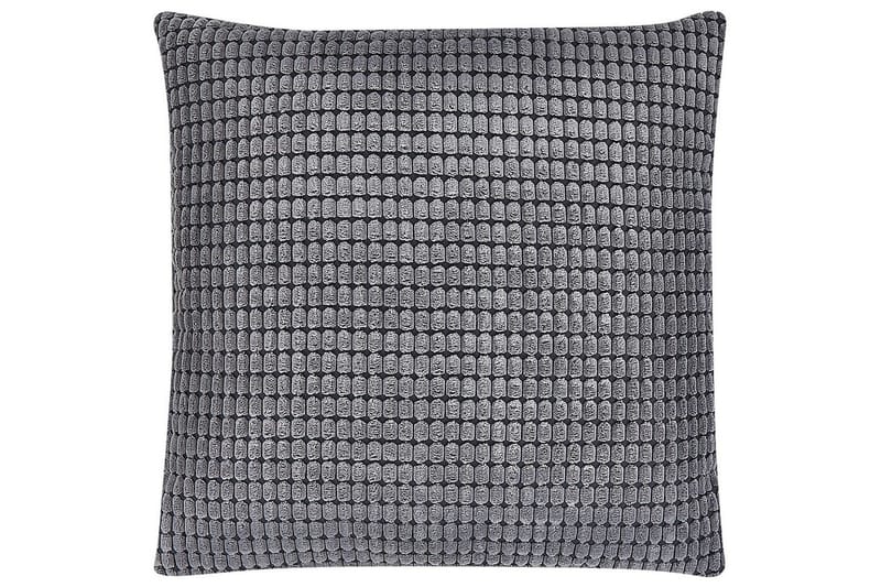 Koristetyynyt Aspidistra 2 kpl:n sarja - Kodintekstiilit & matot - Tyyny & torkkupeitto - Koristetyynyt