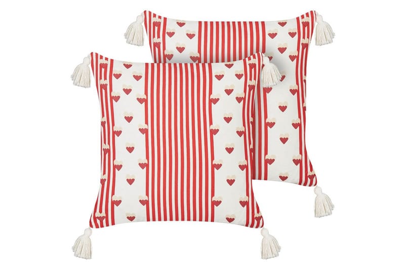 Koristetyynyt Banksia kahden setti, undefined