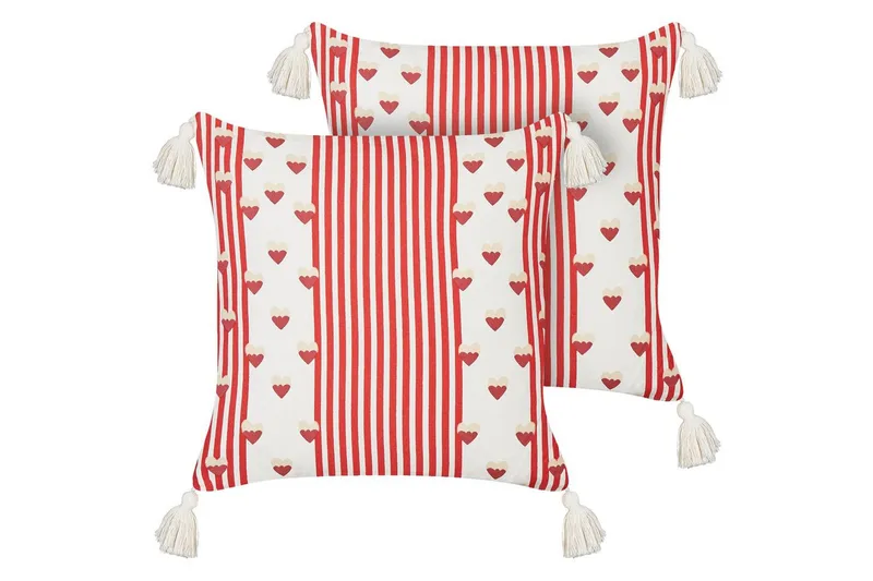 Koristetyynyt Banksia kahden setti, undefined