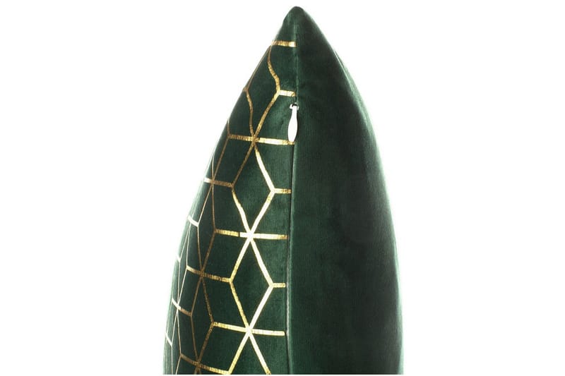 Koristetyynyt Celosia, 2 kpl Vihreä/Kulta - Vihreä/Kulta - Kodintekstiilit & matot - Tyyny & torkkupeitto - Ulkotyyny