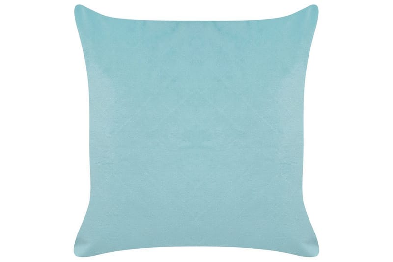 Koristetyynyt Coneflower 2 kpl setti - Kodintekstiilit & matot - Tyyny & torkkupeitto - Koristetyynyt