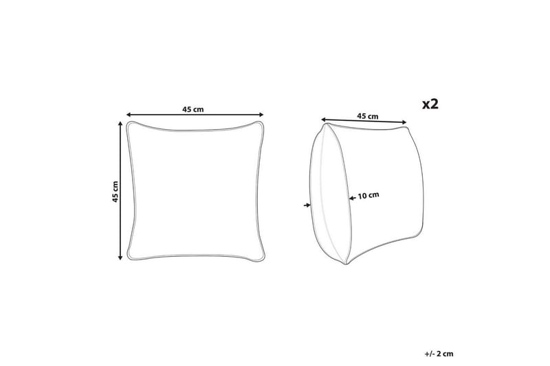 Koristetyynyt Coneflower 2 kpl setti - Kodintekstiilit & matot - Tyyny & torkkupeitto - Koristetyynyt