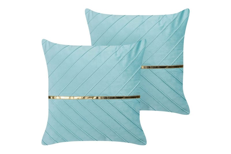 Koristetyynyt Coneflower 2 kpl setti, undefined