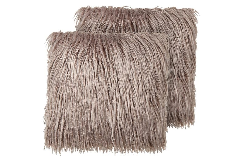 Koristetyynyt Corokia -setti, 2 kpl Beige - Beige - Kodintekstiilit & matot - Tyyny & torkkupeitto - Ulkotyyny