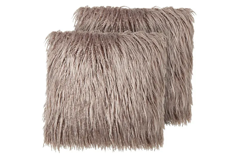 Koristetyynyt Corokia -setti, 2 kpl Beige, Beige