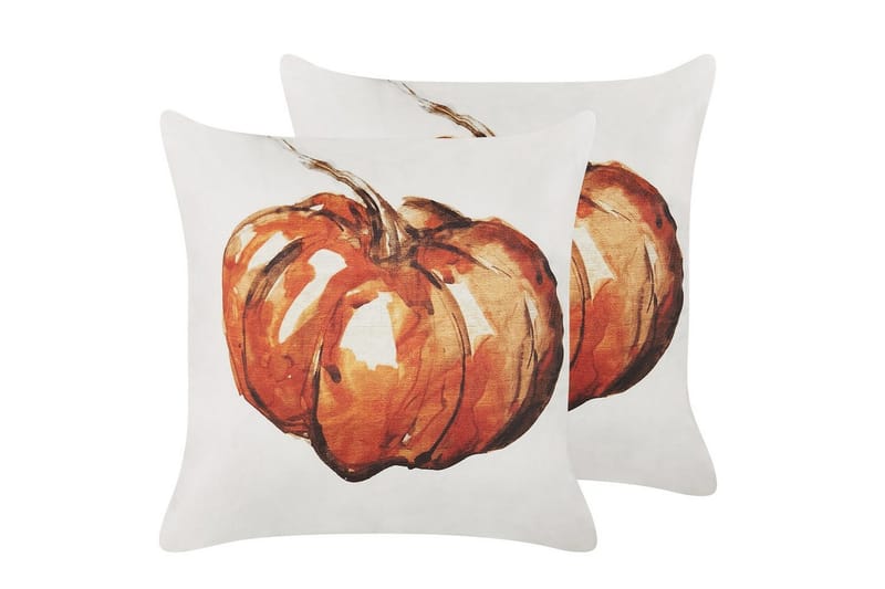 Koristetyynyt Curbita sarja, 2 kpl, undefined