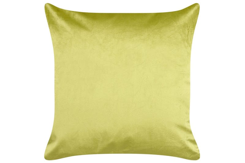 Koristetyynyt Deliciosa setti 2 Vaaleanvihreä/kulta - Vaaleanvihreä/kulta - Kodintekstiilit & matot - Tyyny & torkkupeitto - Koristetyynyt