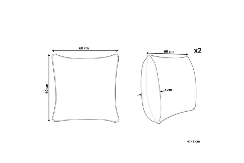 Koristetyynyt Dianthus 2 kpl sarja - Kodintekstiilit & matot - Tyyny & torkkupeitto - Koristetyynyt