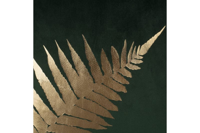 Koristetyynyt Fern 2 sarjan setti - Kodintekstiilit & matot - Tyyny & torkkupeitto - Koristetyynyt