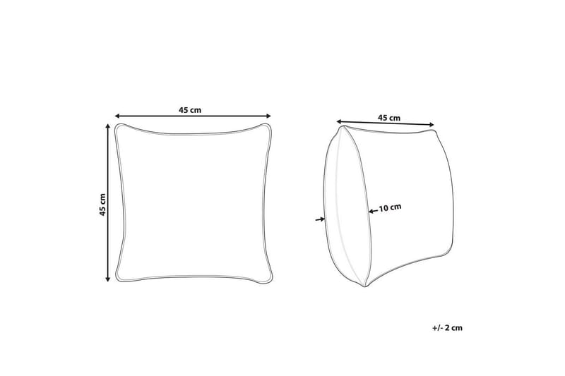 Koristetyynyt Goldenrod setti 2 Valkoinen/kulta - Valkoinen/kulta - Kodintekstiilit & matot - Tyyny & torkkupeitto - Sisätyyny