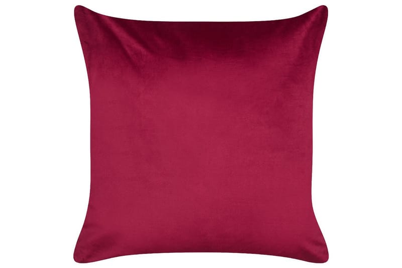 Koristetyynyt Goldspruce setti 2 Punainen/Kulta/Valkoinen - Punainen/Kulta/Valkoinen - Kodintekstiilit & matot - Tyyny & torkkupeitto - Koristetyynyt