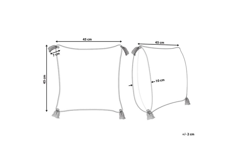 Koristetyynyt Jacaranda - Kodintekstiilit & matot - Tyyny & torkkupeitto - Koristetyynyt