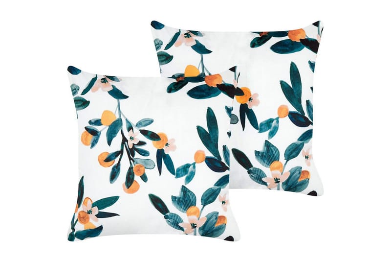 Koristetyynyt Knautia sarja, 2 kpl, undefined