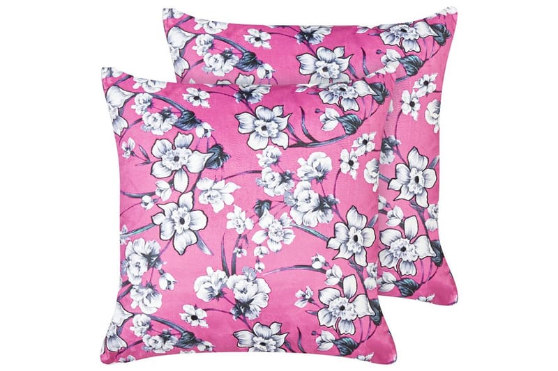 Koristetyynyt Koeleria sarja, 2 kpl, undefined