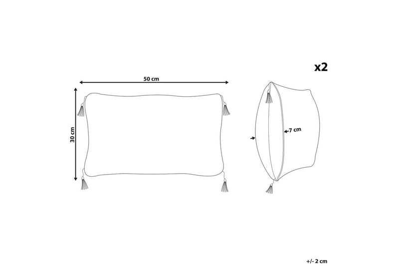 Koristetyynyt Liriope setti, 2 kpl Suorakulmio - Suorakulmio - Kodintekstiilit & matot - Tyyny & torkkupeitto - Koristetyynyt