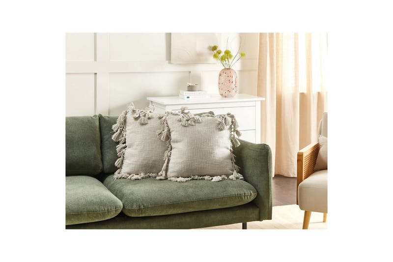 Koristetyynyt Olearia, 2 kpl:n setti Beige - Beige - Kodintekstiilit & matot - Tyyny & torkkupeitto - Koristetyynyt