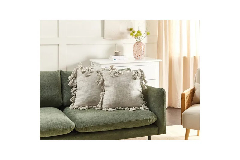 Koristetyynyt Olearia, 2 kpl:n setti Beige - Beige - Kodintekstiilit & matot - Tyyny & torkkupeitto - Koristetyynyt