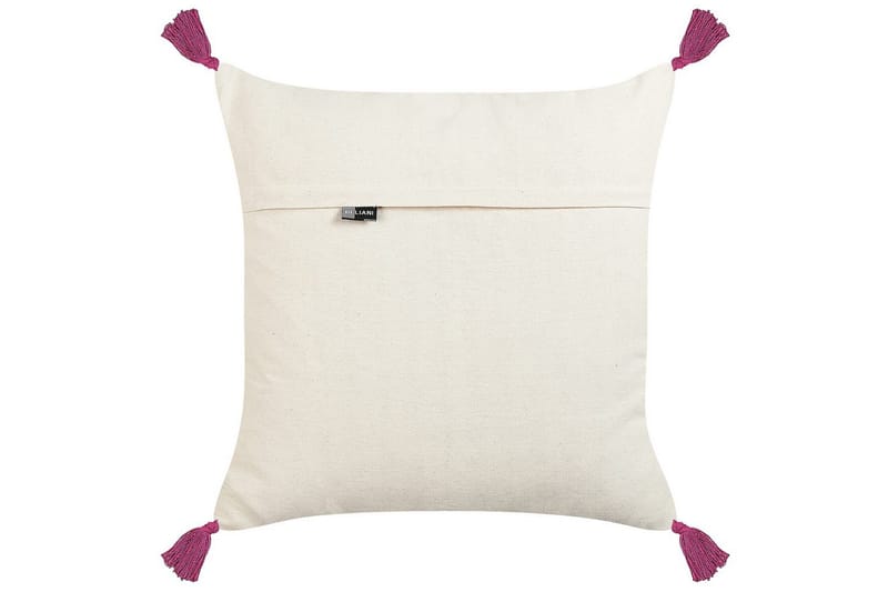 Koristetyynyt Raiganj sarja 2 - Kodintekstiilit & matot - Tyyny & torkkupeitto - Koristetyynyt