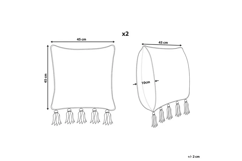 Koristetyynyt Sambucus, 2 kpl sarja - Kodintekstiilit & matot - Tyyny & torkkupeitto - Koristetyynyt