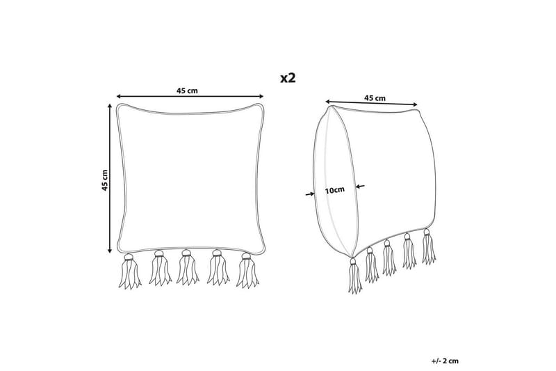 Koristetyynyt Sambucus, 2 kpl sarja - Kodintekstiilit & matot - Tyyny & torkkupeitto - Koristetyynyt