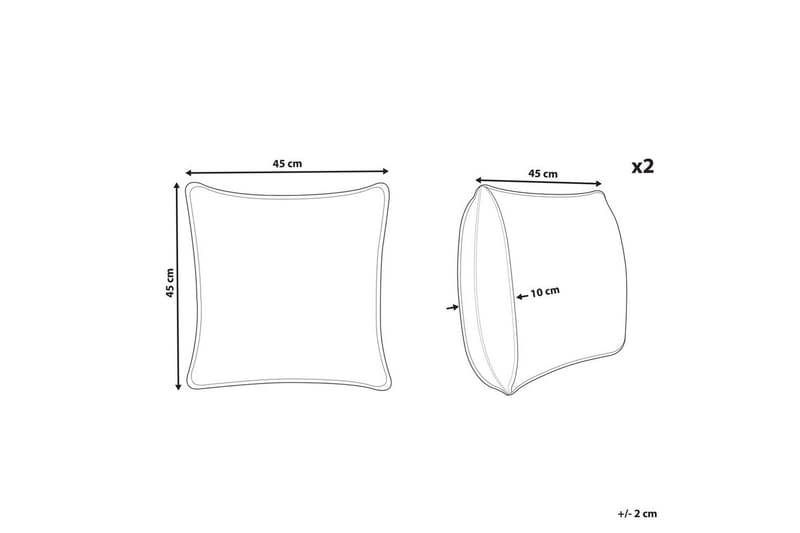 Koristetyynyt Triteleia, setti 2 Vaaleanpunainen/kulta/beige - Vaaleanpunainen/kulta/beige - Kodintekstiilit & matot - Tyyny & torkkupeitto - Koristetyynyt